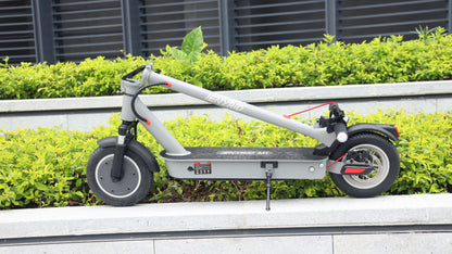 Elektrische step Ienyrid M1