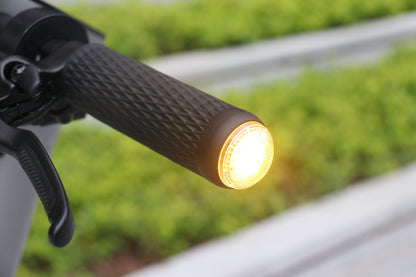 Elektrische step Ienyrid M1